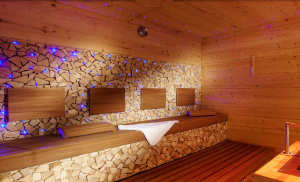 Arcade_Wellness_Sauna_1_.jpg